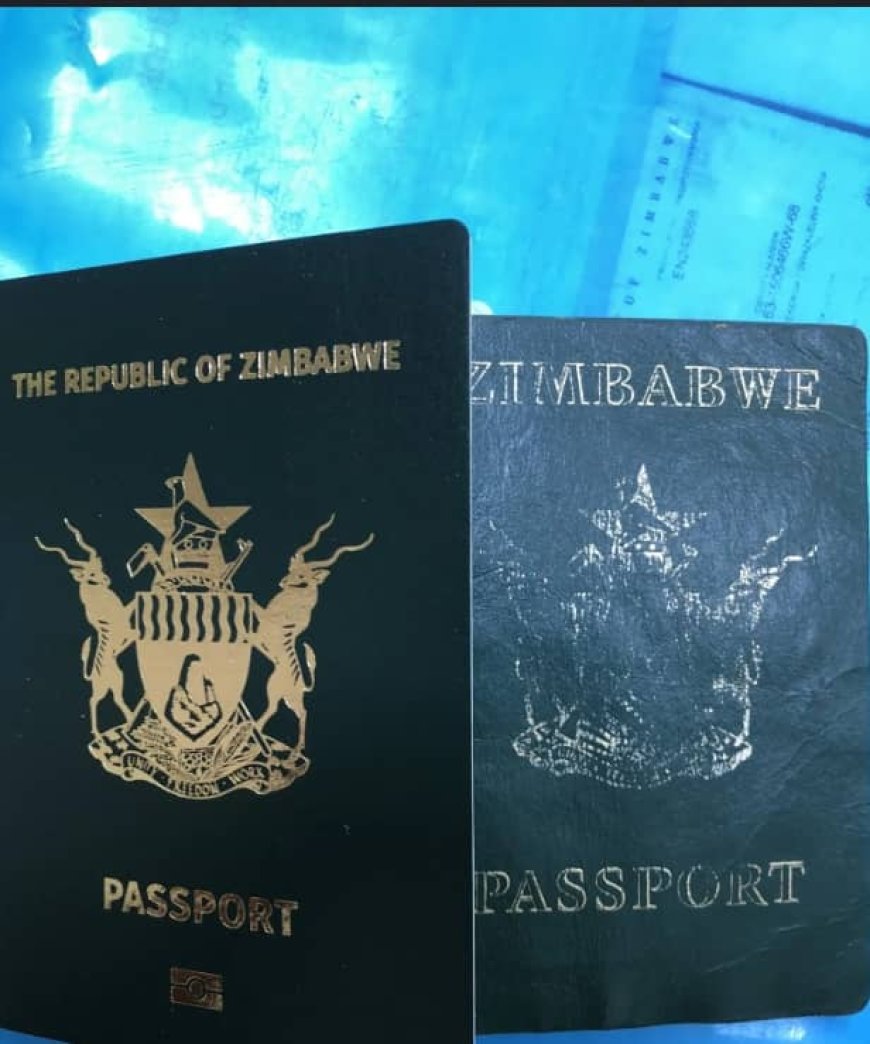 Zim lnstalls 14 E-Gates At Robert Mugabe lnternational Airport