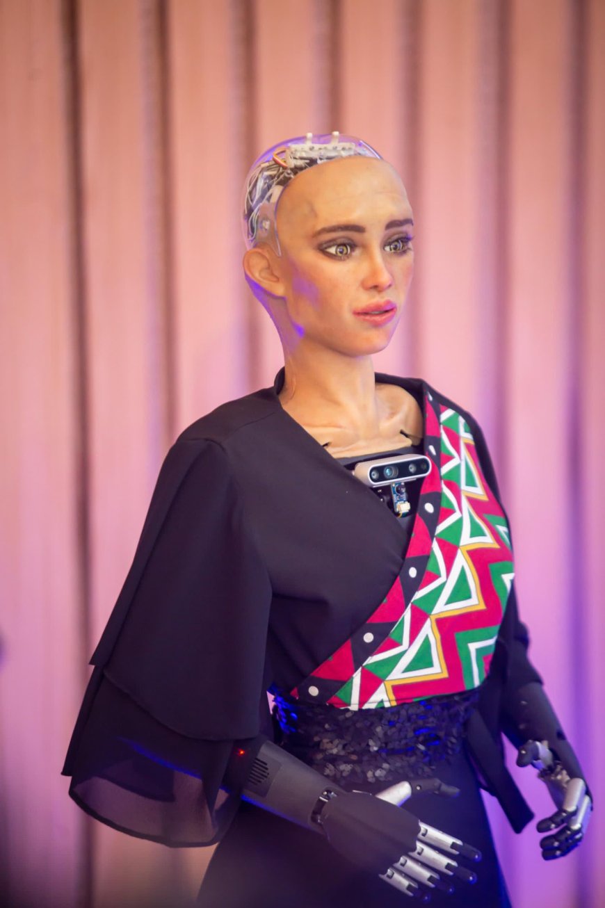 Sophia the Robot Inspires Zimbabwe’s AI Revolution at Innovation Week